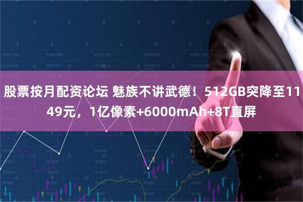 股票按月配资论坛 魅族不讲武德！512GB突降至1149元，1亿像素+6000mAh+8T直屏